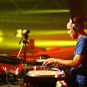 Wildstylez