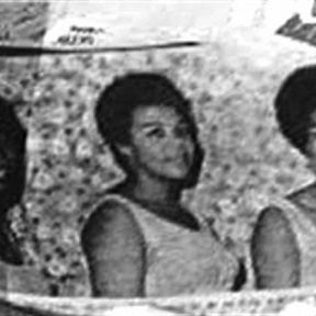 The Gaylettes