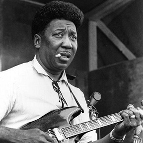 Muddy Waters