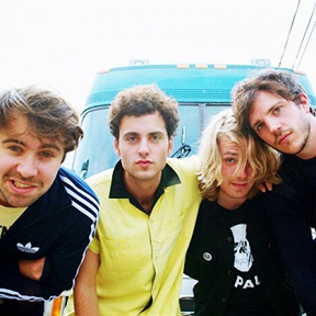 The Vaccines
