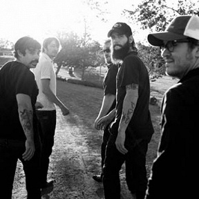 Band of Horses