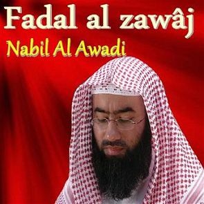 TÉLÉCHARGER NABIL AWADI MP3 MP3 TÉLÉCHARGER NABIL AWADI