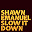 Shawn Emanuel - Slow It Down