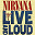 Nirvana - Live And Loud (Live)