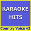 Original Backing Tracks - Karaoke Hits: Country Voice Vol. 2