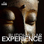 Francesco Digilio - Buddha Bar Experience