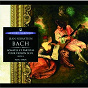 Album J.S. Bach: Sonates et partitas Volume 1 de Yuval Yaron / Jean-Sébastien Bach