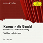 Album Strauss: Komm in die Gondel de Gerhard Steeger / Walther Ludwig / Staatskapelle Berlin / Chor der Staatsoper Berlin