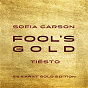 Album Fool's Gold (Tiësto 24 Karat Gold Edition) de Tiësto / Sofia Carson