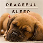 Compilation Peaceful Sleep avec Arthur Lyman / Strange Cargo / Soulfood / Beaver & Krause / Julee Cruise...