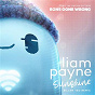 Album Sunshine (From the Motion Picture ?Ron's Gone Wrong? / Billen Ted Remix) de Liam Payne