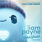 Album Sunshine (From the Motion Picture ?Ron's Gone Wrong? / Acoustic) de Liam Payne