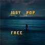 Album Sonali de Iggy Pop