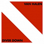 Album Diver Down de Van Halen