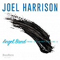 Album Angel Band: Free Country, Vol. 3 de Joel Harrison