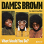 Album What Would You Do? (feat. Andrés & Amp Fiddler) de Dames Brown