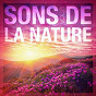 Album Sons de la nature, vol. 1 de Bruits Naturels
