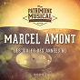 Album Les idoles des années 60 : Marcel Amont, Vol. 2 de Marcel Amont