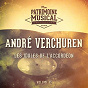 Album Les idoles de l'accordéon : André Verchuren, Vol. 15 de André Verchuren