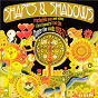 Compilation Shapes & Shadows: Psychedelic Pop And Other Rare Flavours From The Chapter One Vaults 1968-72 avec Tandem / Putney Bridge / Episode Six / The Bliss / Philwit & Pegasus...
