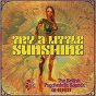 Compilation Try A Little Sunshine (The British Psychedelic Sounds Of 1969) avec Barclay James Harvest / Spencer Davis / Wild Silk / The Bliss / John Ferdinando, Peter Howell...