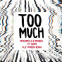 Album Too Much (Alle Farben Remix) de Marshmello & Imanbek