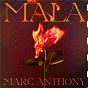Album Mala de Marc Anthony