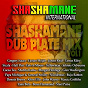 Compilation Shashamane Dub Plate Mix, Vol. 1 (Shashamane International Presents) avec Steel Pulse / Duane Stephenson / Little Hero / Tarrus Riley / Half Pint...