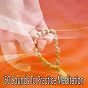 Album 50 Sounds To Practice Meditation de Meditation