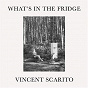 Album What's in the Fridge de Vincent Scarito