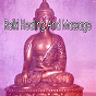 Album Reiki Healing And Massage de Massage Therapy Music
