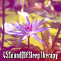 Album 45 Sounds Of Sleep Therapy de Focus Study Music Academy