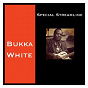 Album Special Streamline de Bukka White