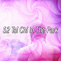 Album 52 Tai Chi In The Park de Focus Study Music Academy
