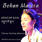 Album Bekan Mantra (Tibetan Healing Mantras) (Ao Vivo 'Em Belho Horizonte) (feat. Marcus Viana) de Drukmo Gyal