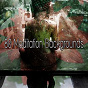Album 80 Meditation Backgrounds de Focus Study Music Academy