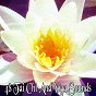 Album 48 Tai Chi and Yoga Sounds de Asian Zen Spa Music Meditation