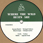 Compilation Where the Wild Beats Are avec Black Loops / David Garrett / Carlo / Baldo