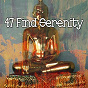Album 47 Find Serenity de Meditation Zen Master