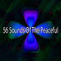 Album 56 Sounds of the Peaceful de Relaxing Meditation Songs Divine