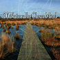 Album 56 Naturally Clean Mind de Yoga Namaste