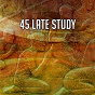 Album 45 Late Study de Ambient Forest
