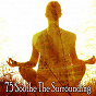 Album 75 Soothe the Surrounding de Meditation