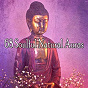Album 68 Soulful Natural Auras de Internal Yoga Music