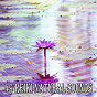 Album 49 Reiki Natural Sounds de Guided Meditation