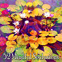 Album 52 Mindful Seclusions de Relaxing Mindfulness Meditation Relaxation Maestro