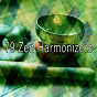 Album 79 Zen Harmonizers de Classical Study Music