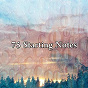 Album 75 Starting Notes de Massage Tribe