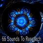 Album 66 Sounds to Research de Nature Sounds Artists