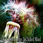 Album 55 Ambience for a Chilled Mind de Music for Deep Meditation
